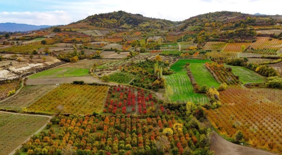 Uludağ eteklerinde renk cümbüşü