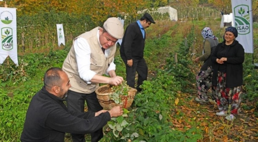 Osmangazi'de Organik Tarım Seferberliği