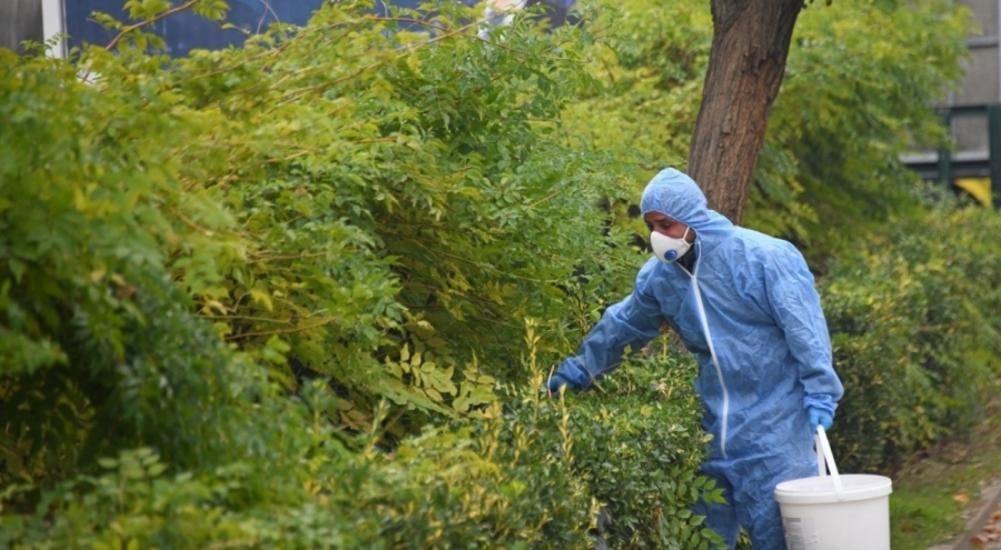 Osmangazi'de kemirgenlere karşı ilaçlama çalışması başlatıldı