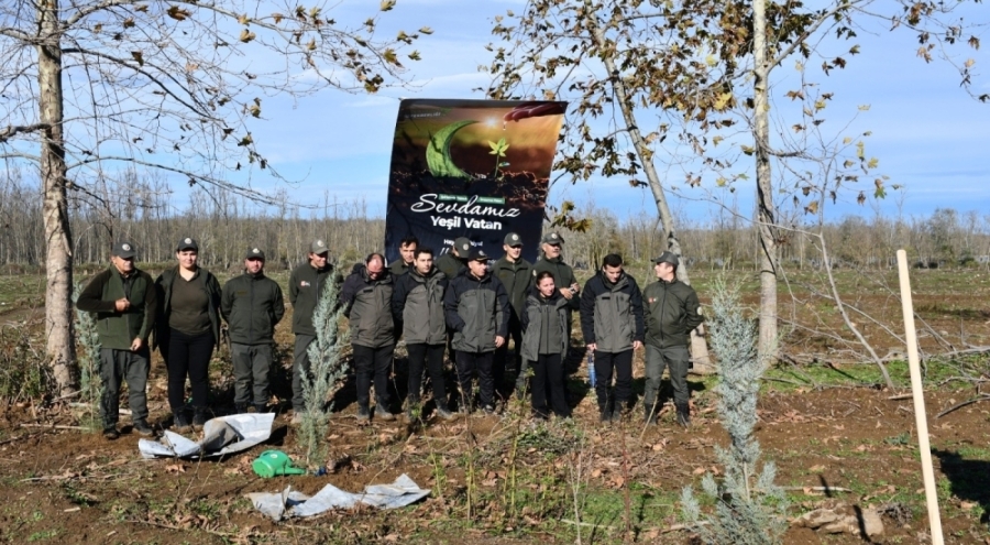 Karacabey'de Şehit Savcı Mehmet Selim Kiraz Anısına Hatıra Ormanı Oluşturuldu