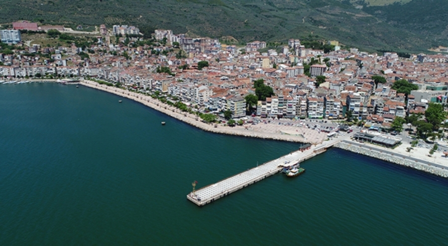 Gemlik Körfezi'nde Tehlikeli Misafir: Benekli Balon Balığı Yakalandı