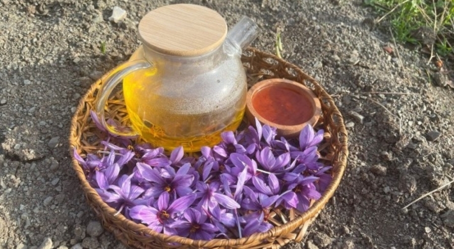 Denemek için ekti, 250 metrekarelik tarlasında dünyanın en pahalı baharatını yetiştirdi