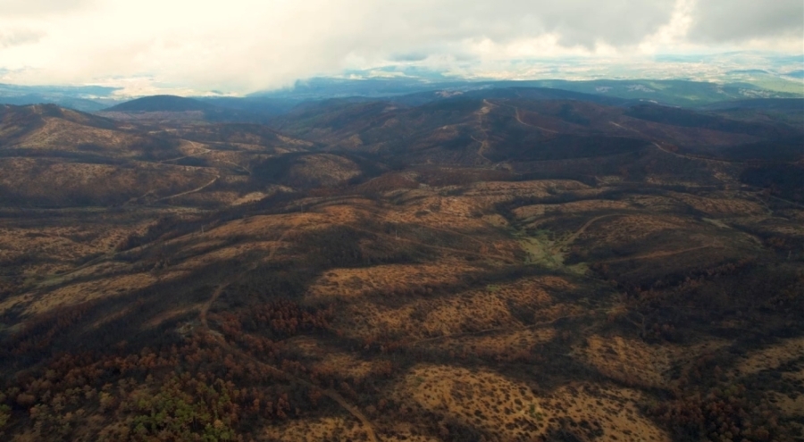 Bursa Yangınında Kül Olan 953 Hektar İçin 300 Bin Fidanla Yeniden Orman