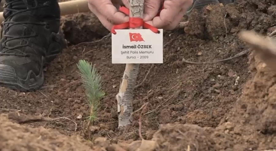 Bursa'da Şehitler İçin Fidanlar Toprakla Buluştu
