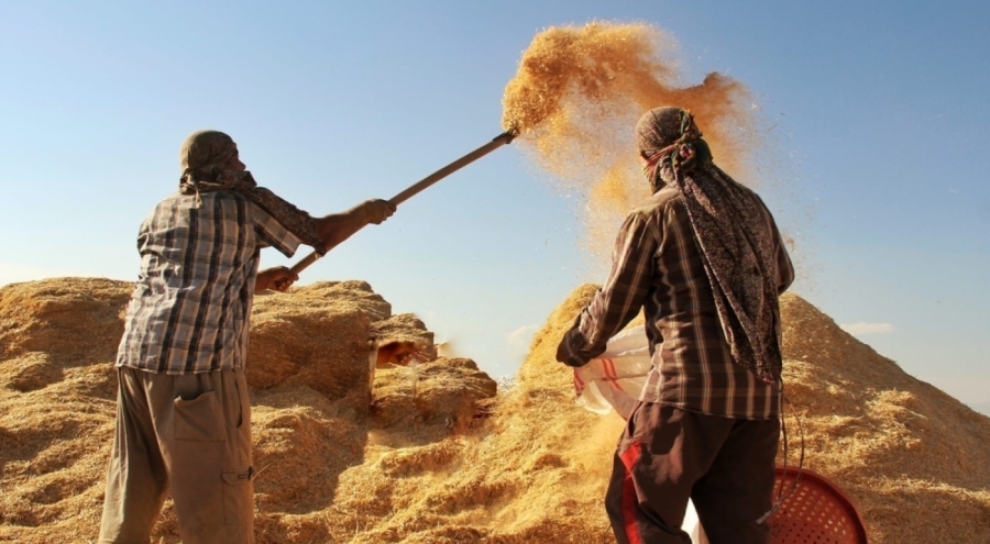 Tarımsal Girdi Fiyatları Eylülde Yıllık %34,6 Arttı