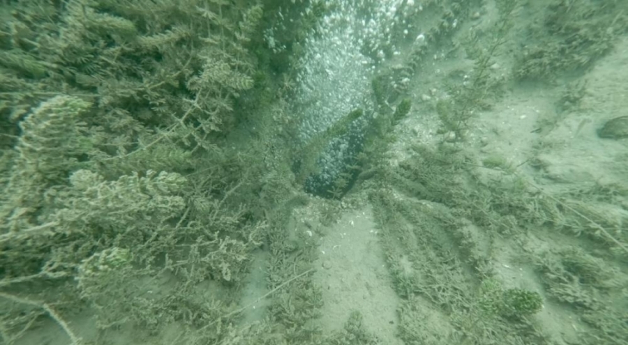 Sapanca Gölü'nde Kabarcıklar Endişe Yarattı