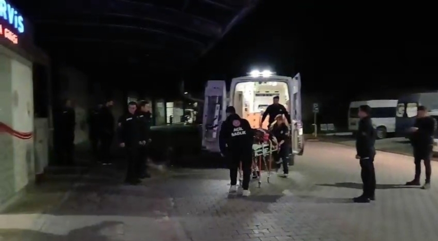 Gemlik'te Zeytinlikte Pusu: Husumetlisini Bıçaklayan Şüpheli Yakalandı