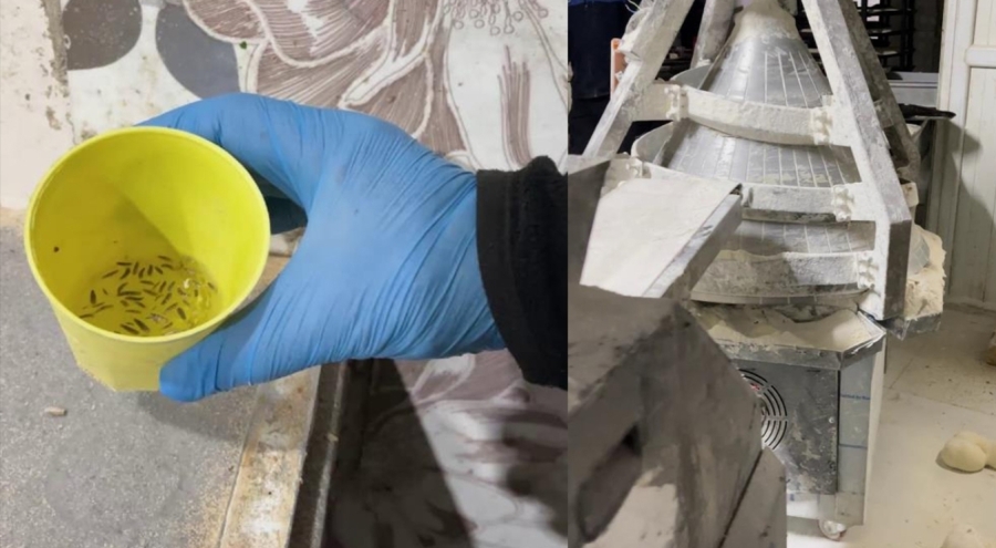 Hatay'da Fırın Denetiminde Şok Görüntüler: 2 İşletme Mühürlendi