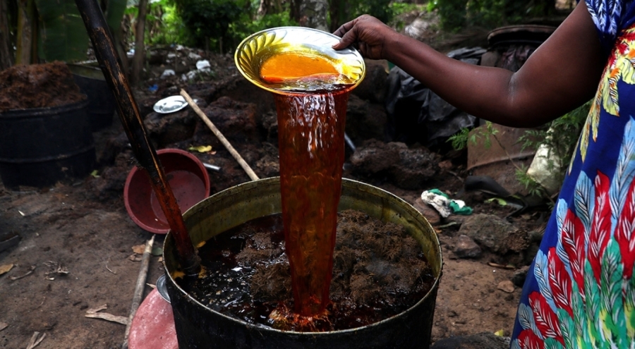 Palm Yağı Tropik Dünyanın Vazgeçilmezi: Sağlıklı, Verimli ve Küresel Bir Ticaret Malzemesi