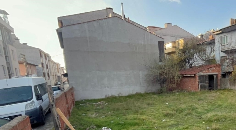 Vahşet! Boş arsada gözleri oyulmuş 8 kedi ölü bulundu