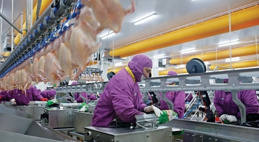 Son beş yılın üretim ve tüketim şampiyonu beyaz et