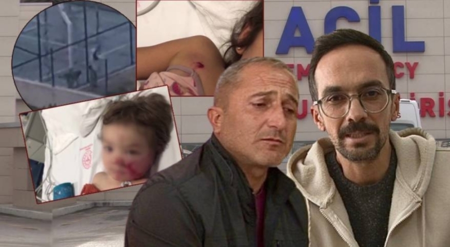 Köpek saldırısı mağduru ailelerden sert çağrı: "Bu travma artık bitmeli"