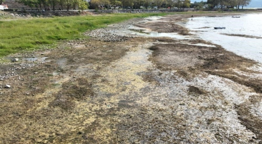 İznik Gölü Alarm Veriyor: Cargill'in Yer Altı Suyu Kullanımı Yeniden Tartışma Yarattı