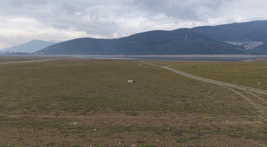 Bursa'da Gölbaşı Göleti alarm veriyor: Aralık ortasında su seviyesi "tepsi" gibi kaldı