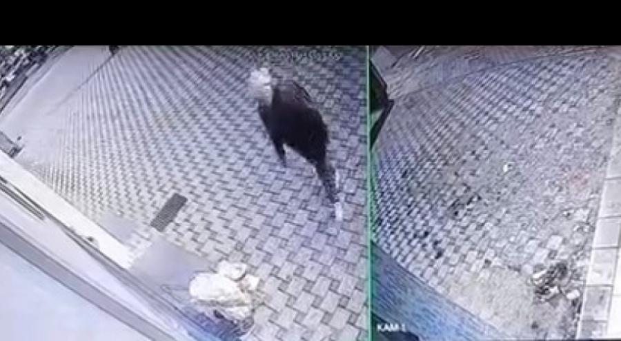 Bursa'da pazar arabası hırsızlığı kamerada