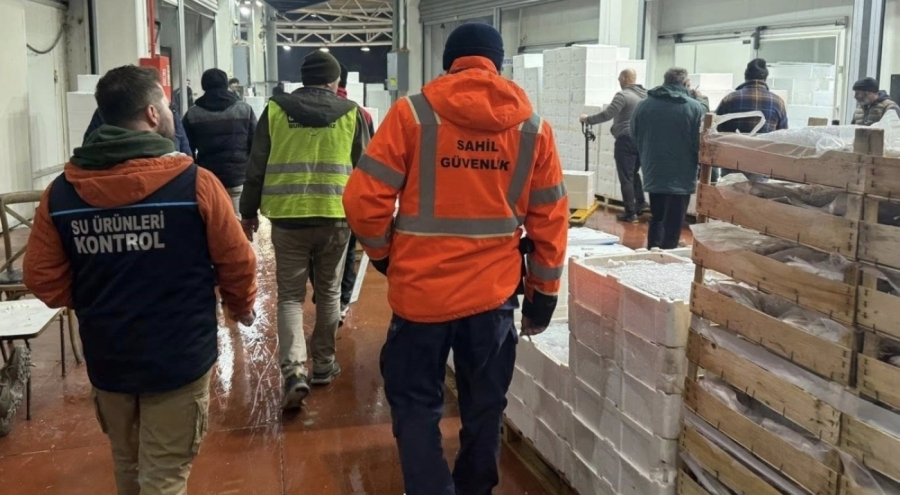 Bursa'da balık halinde şafak baskını: 615 kilo "boy altı" istavrite el konuldu