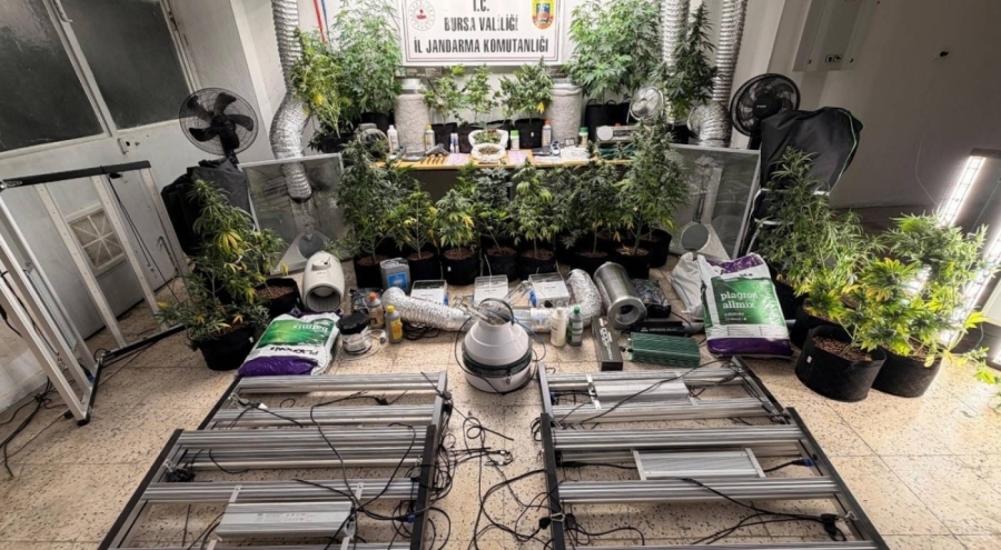 Bursa'da evini uyuşturucu imalathanesine çeviren şüpheli yakalandı: Esrar, skunk ve düzenek ele geçirildi