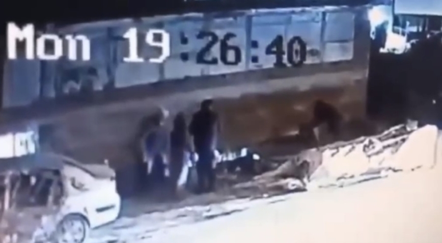 Bursa'da başıboş köpek dehşeti!