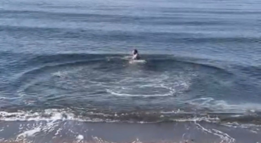 Bursa'da Kar yağışında deniz keyfi