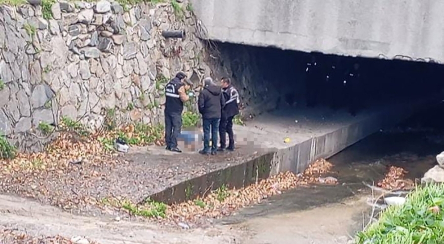 Bursa'da Gökdere'de erkek cesedi