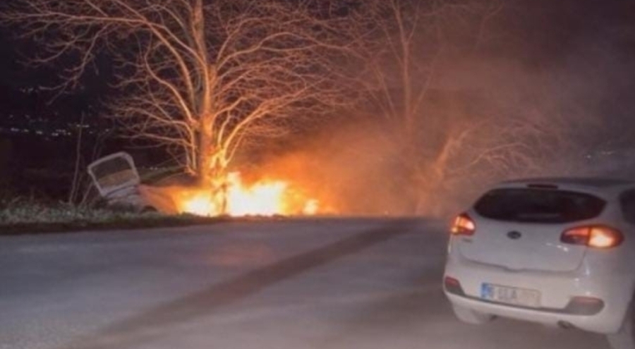 Bursa'da otomobil ağaca çarptı, alev aldı