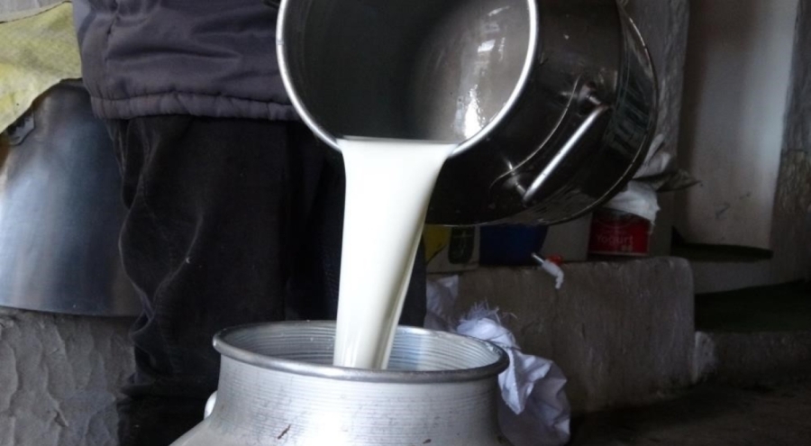 Çiğ süte yeni fiyat