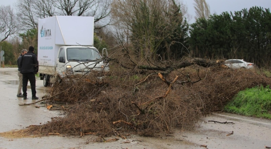 Osmangazi Belediyesi'nden lodosa karşı etkin müdahale