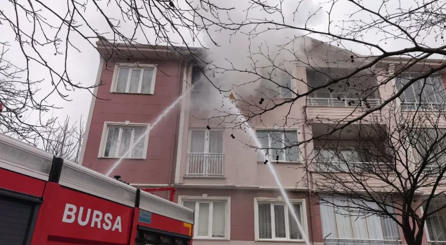 Bursa'da apartman yangını: 2 kedi öldü