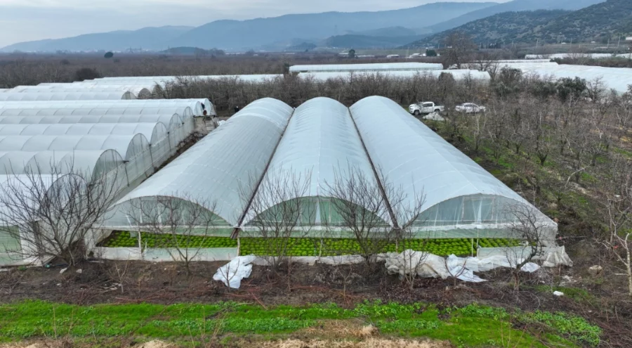 Bursa'da afetzede çiftçilere sera desteği