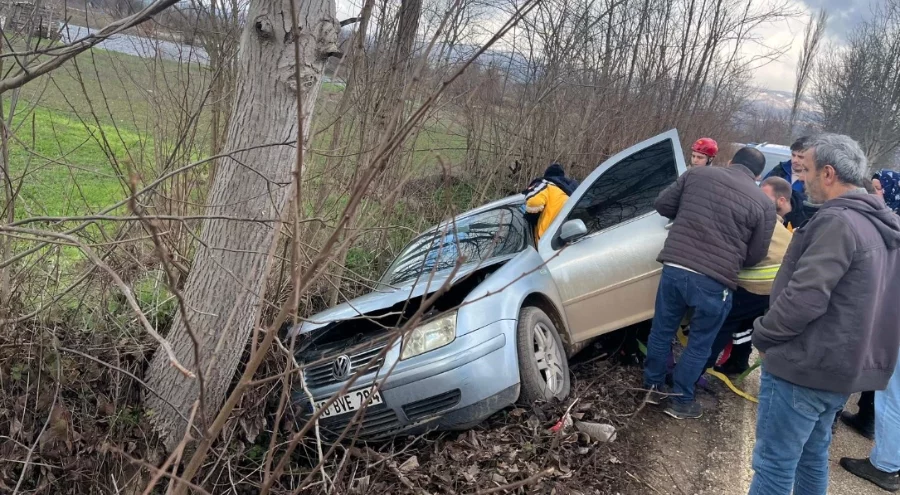 Bursa'da kontrolden çıkan otomobil ağaca çarptı