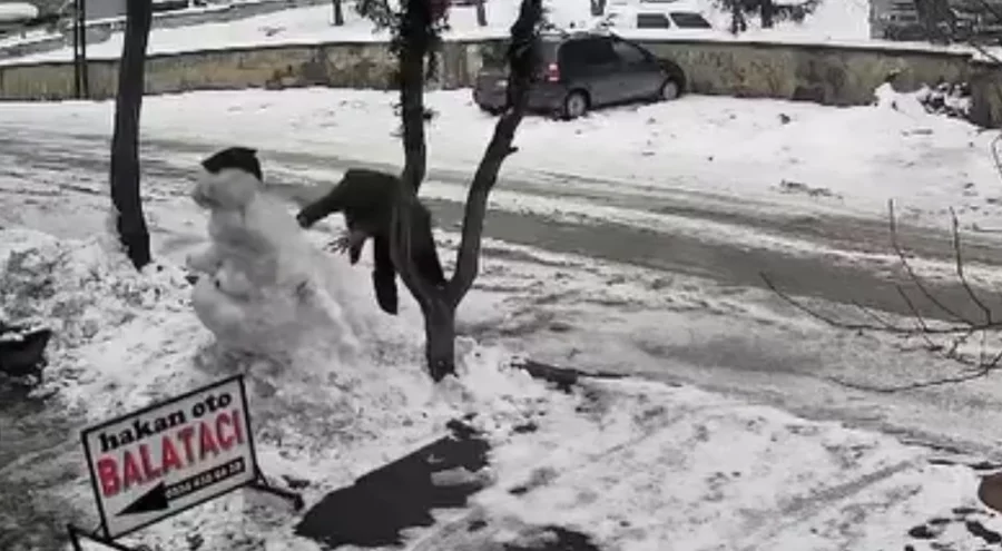 Kardan adamlara saldırı kamerada