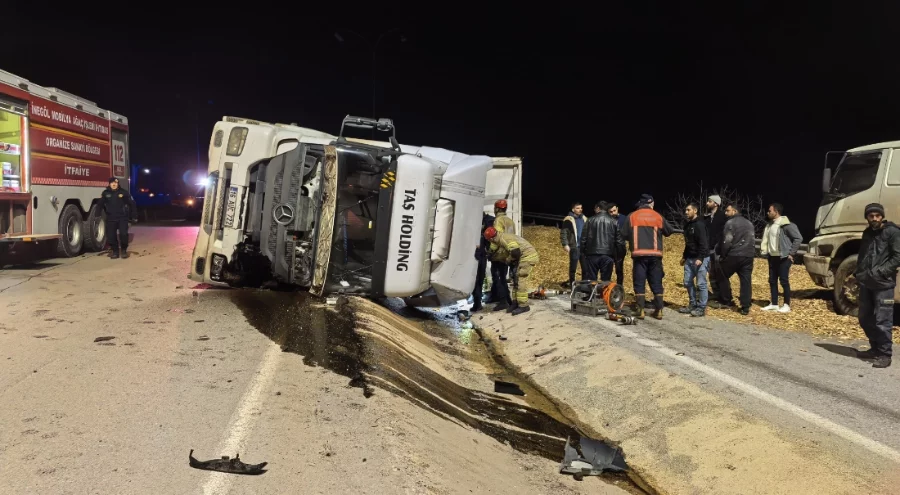 Bursa'da talaş yüklü tır devrildi: Sürücü hayatını kaybetti