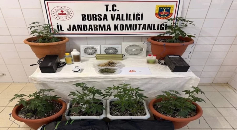 Bursa'da evini uyuşturucu serasına çevirdi
