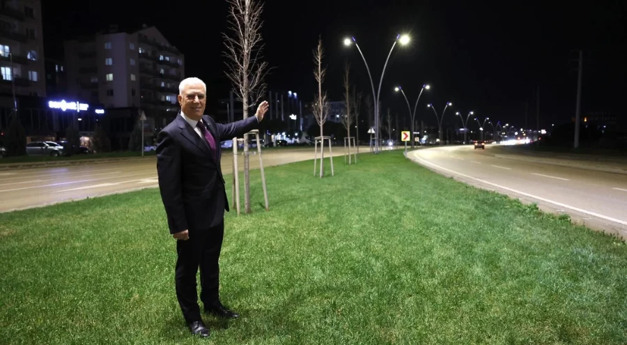 Çalı yolu büyükşehirle aydınlandı