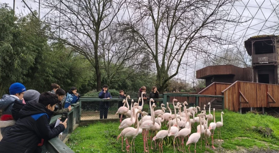 Doğa dedektifleri iz peşinde