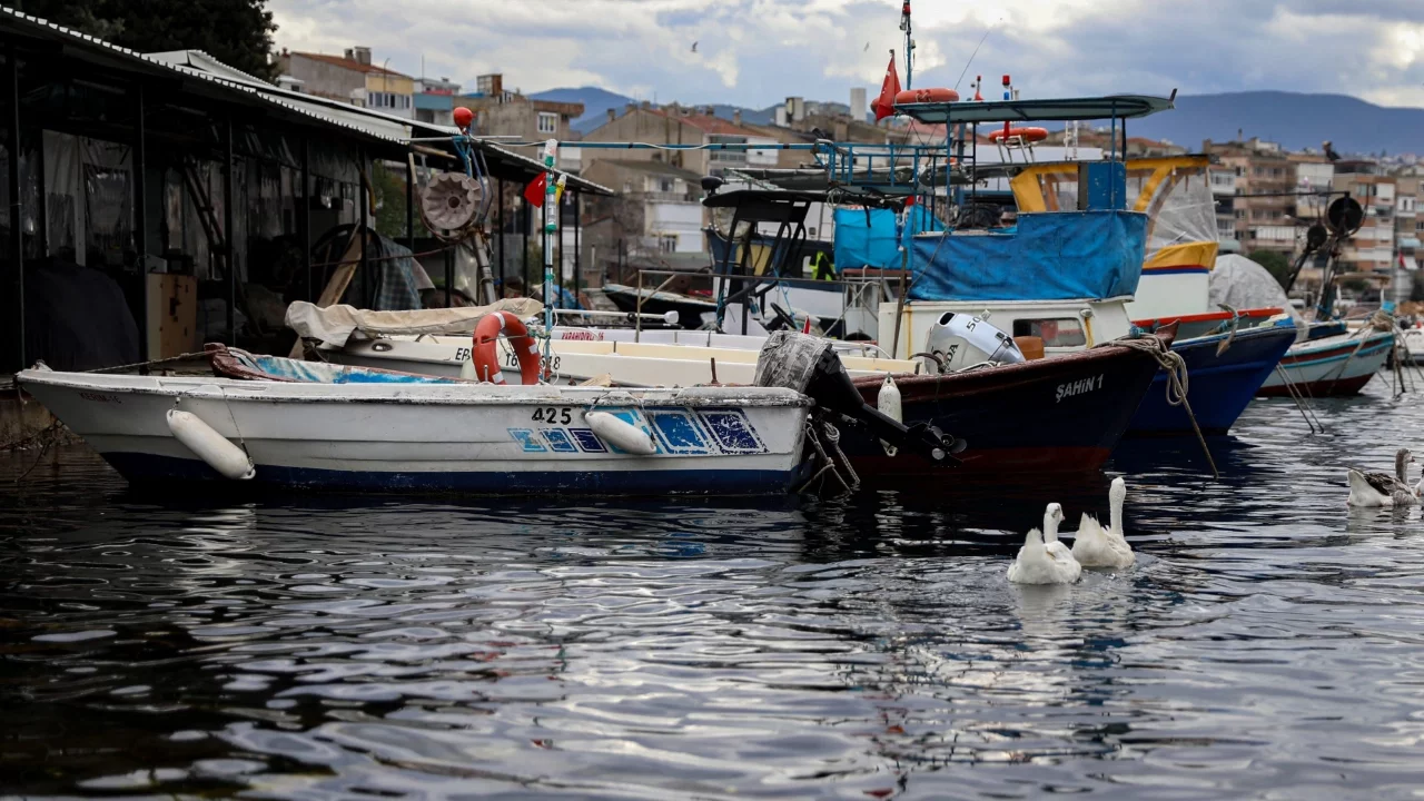 Balık sizden, mazot bizden