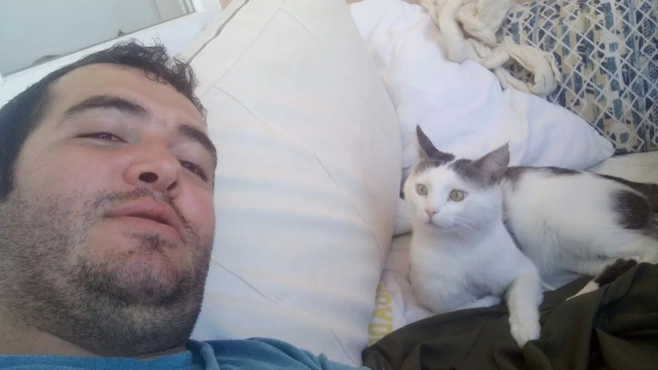 8 aydır kayıp kedisini arıyor! Binlerce kilometre yol yaptı