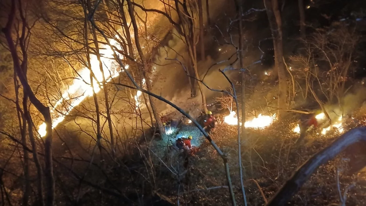 Güney Kore alevlere teslim! 190 hektar kül oldu
