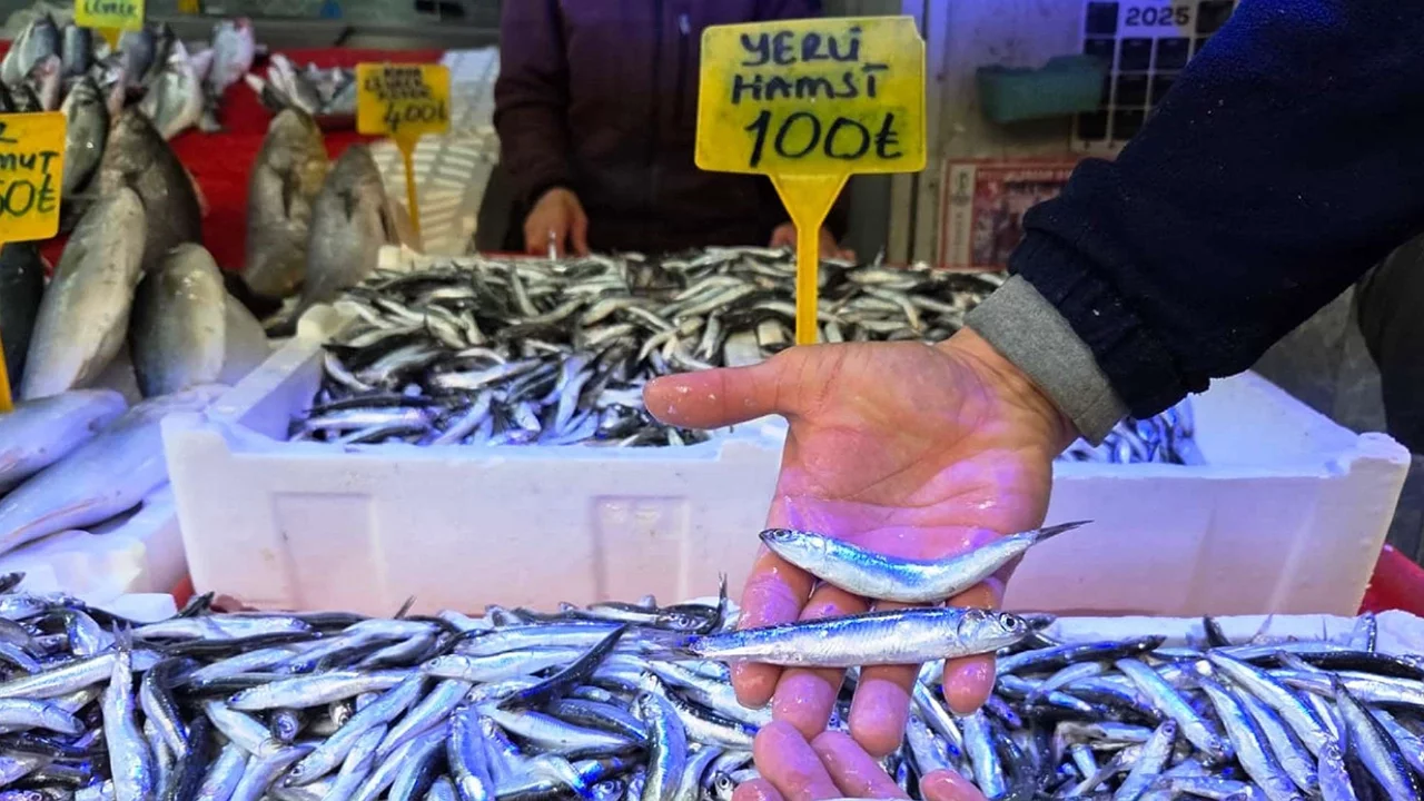 Hamside bereket geri döndü: Tezgahlar doldu, fiyatlar düştü