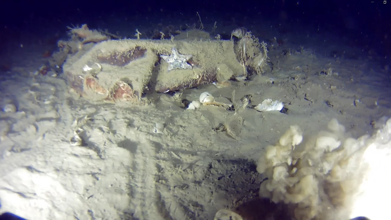 50 yıl sonra yeni iz: THY'nin "Bursa" uçağına ait parçalar bulundu