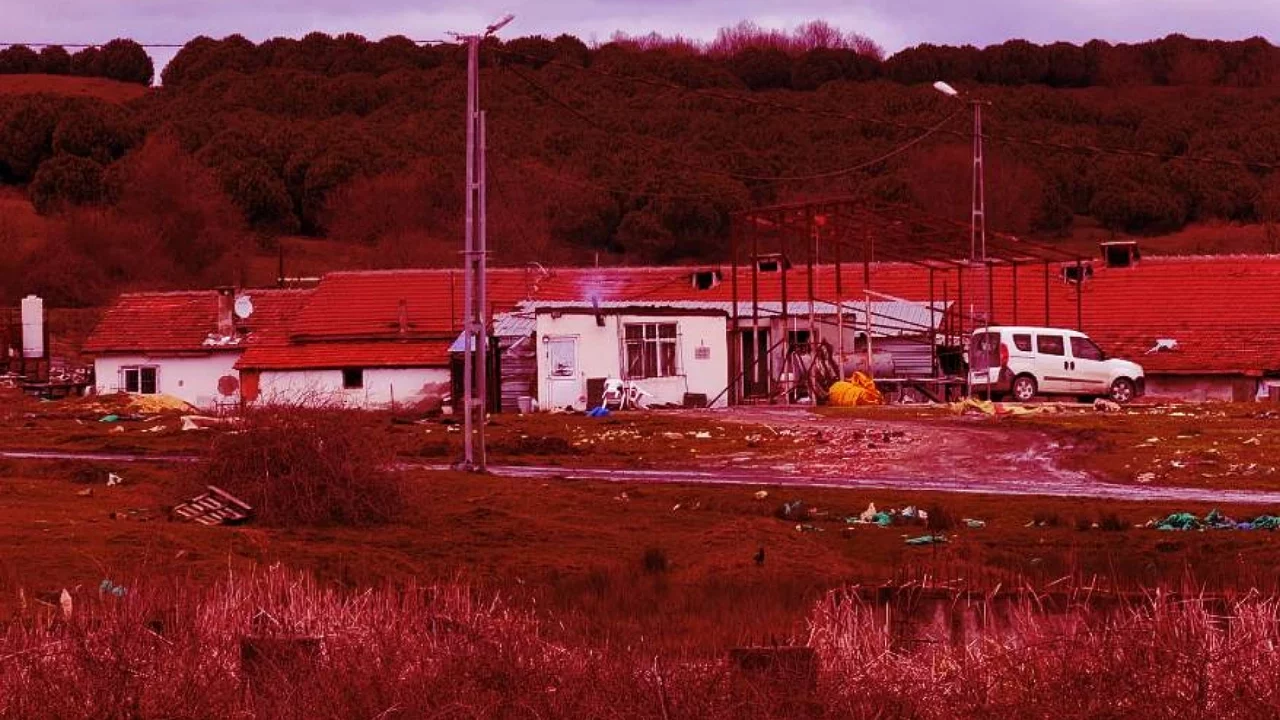 Elektrikli testereli saldırı: İşçi ağır yaralandı