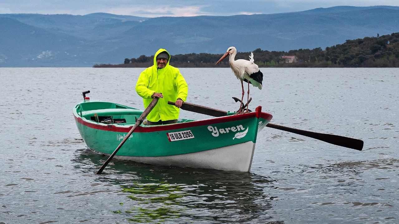 Bursa'da Yaren Leylek Geri Döndü: 15 Yıllık dostluk