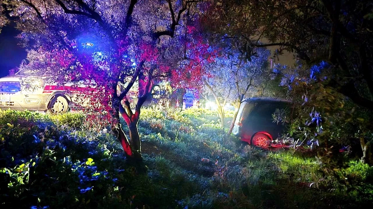 Bursa'da direksiyon hakimiyetini kaybetti, zeytinliğe daldı