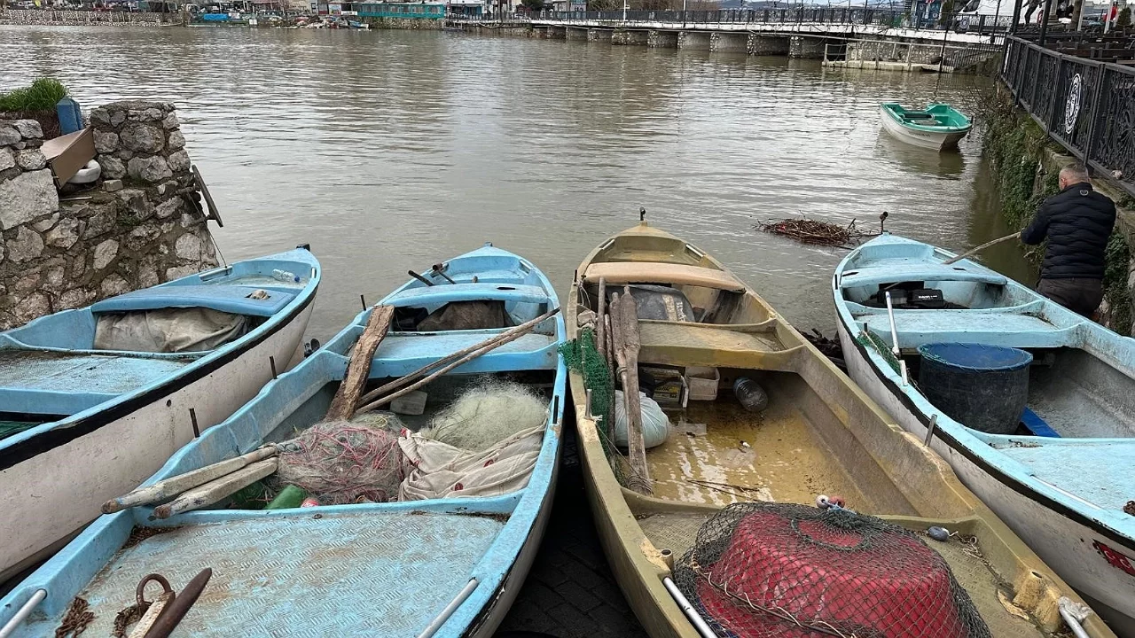 Bursa'da İsrail Sazanı Balıkçıya Gelir Oldu