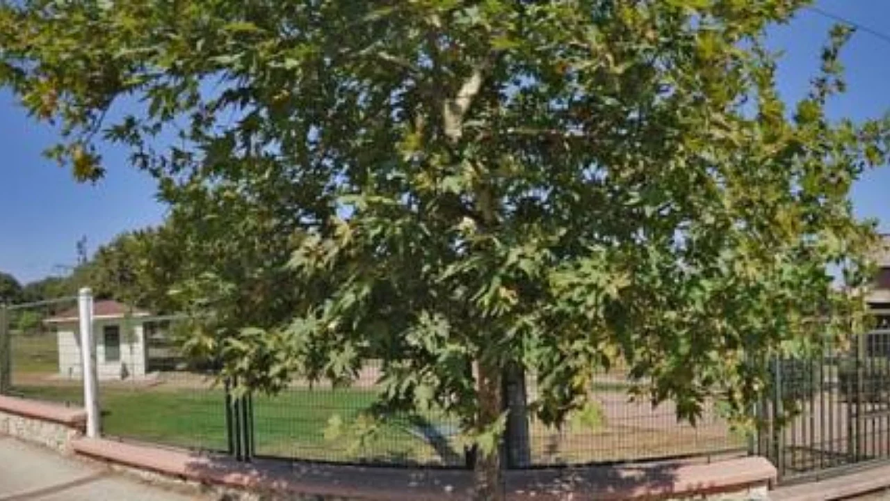 Bursa'da hamitler mesire alanı 3 ay kapanacak