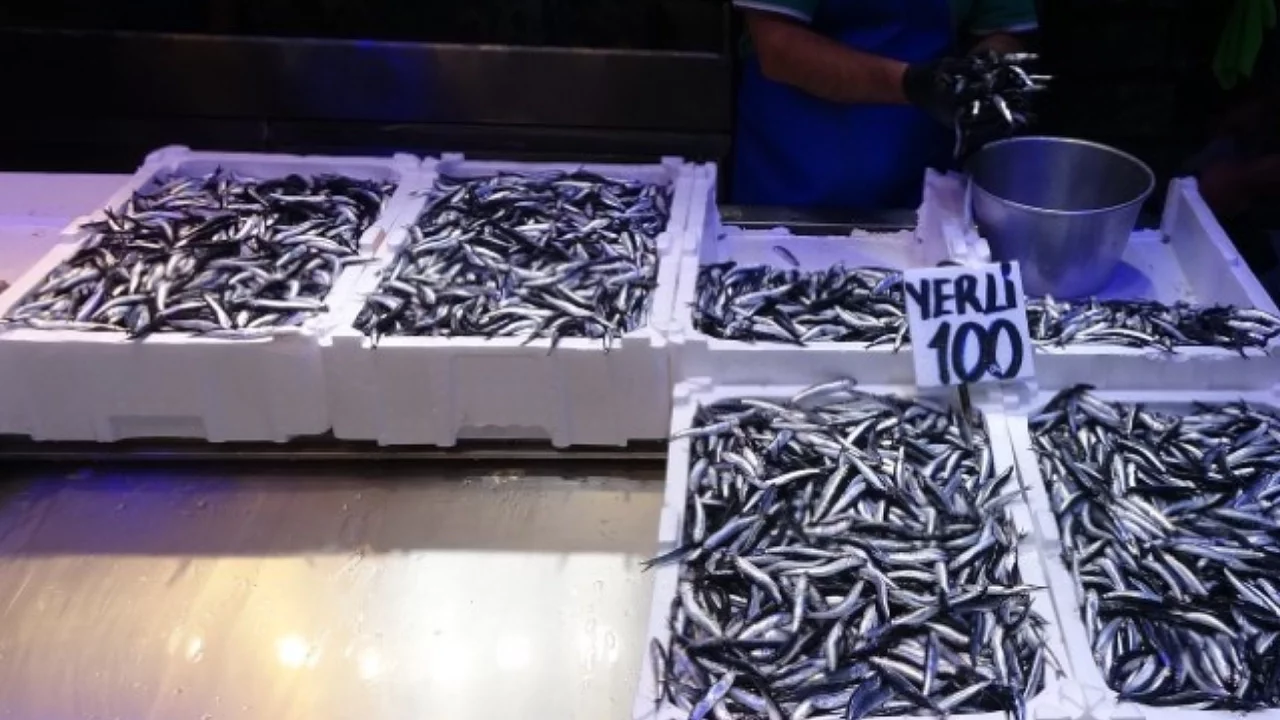 Türk Hamsisine En Büyük Talep Ukrayna'dan