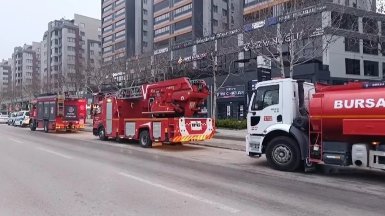 Bursa'da pizza zincirinin iki şubesini kundakladı