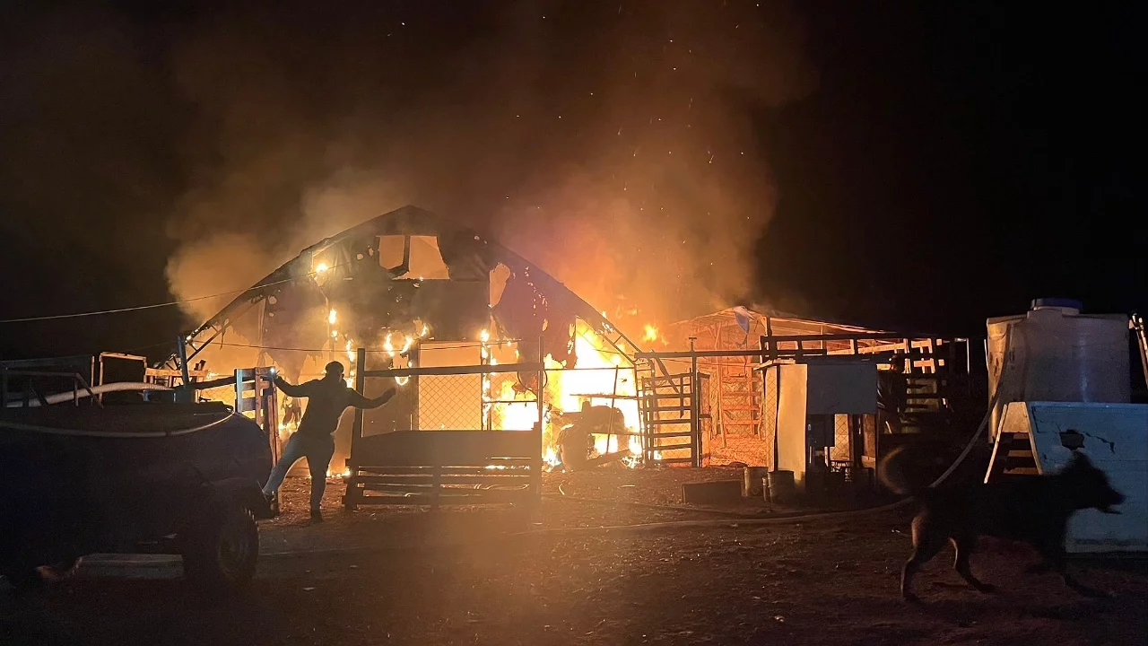 Bursa'da çiftlik yangını: Yüzlerce hayvan telef oldu