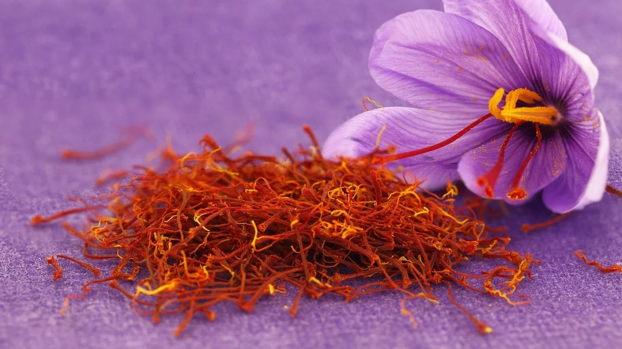 "Kırmızı Altın"ın Gramı 900 Lira!