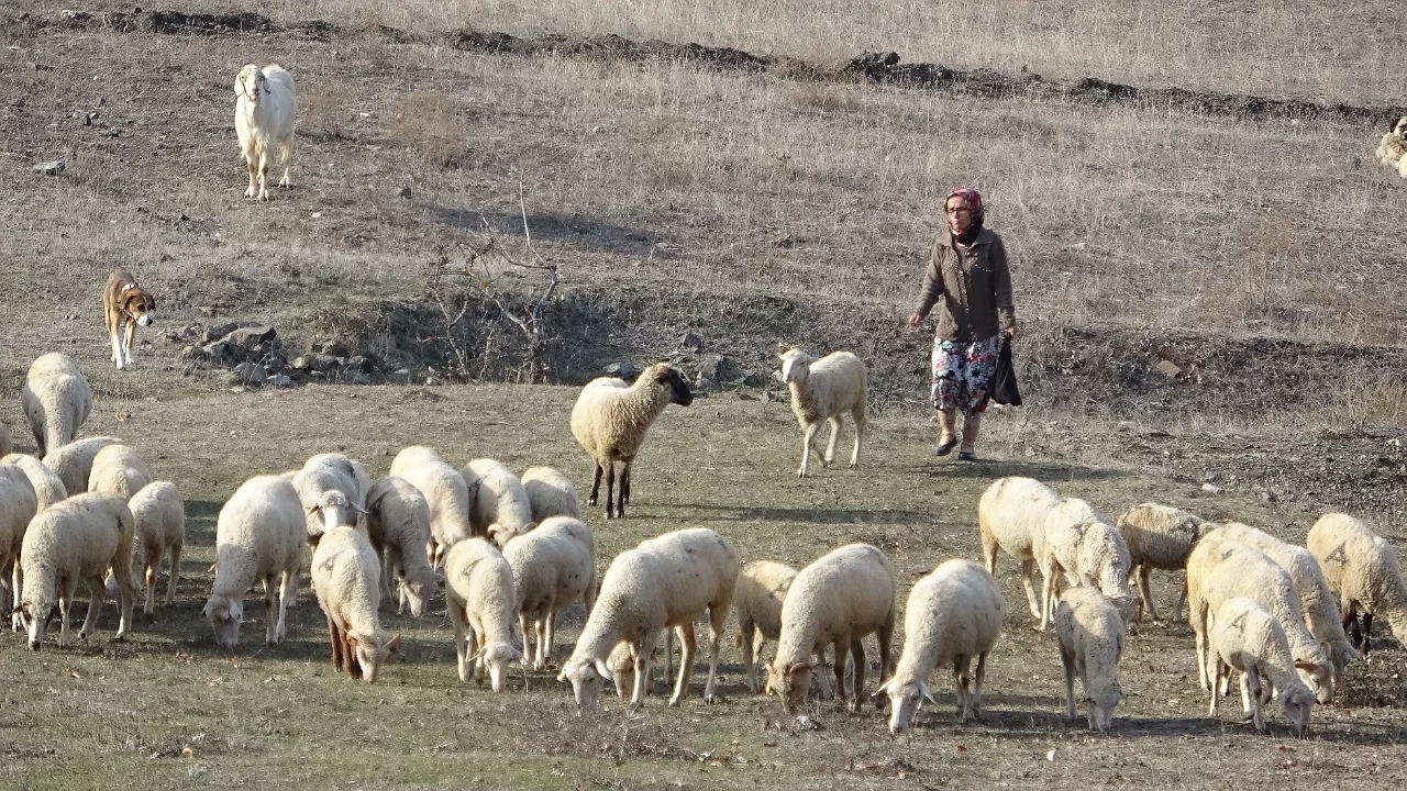 Bursa'da Dayı Dehşeti: Yeğen Hayatını Kaybetti, 2 Kişi Ağır Yaralı